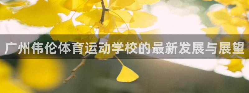 三亿体育网