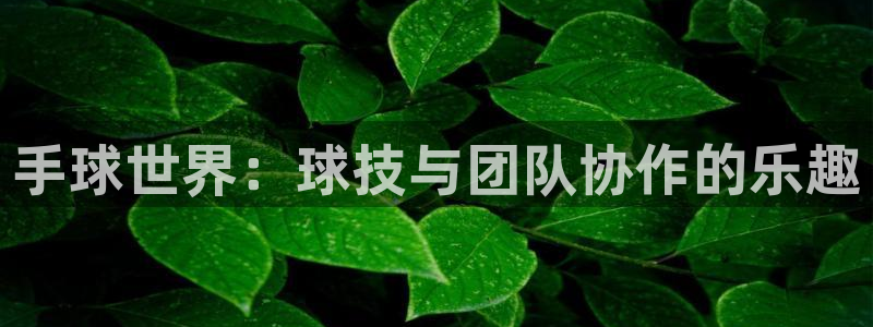 三亿体育网