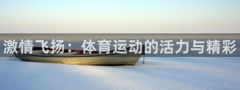 三亿体育网页版