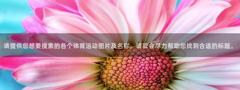三亿体育网