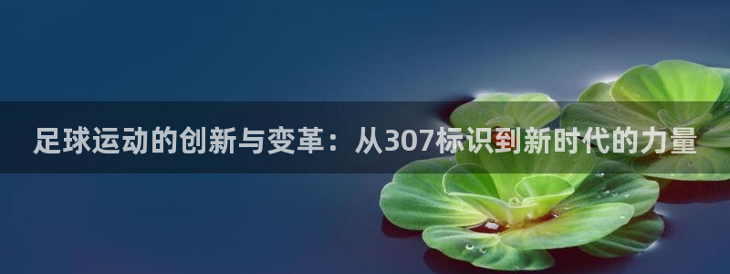 三亿体育网