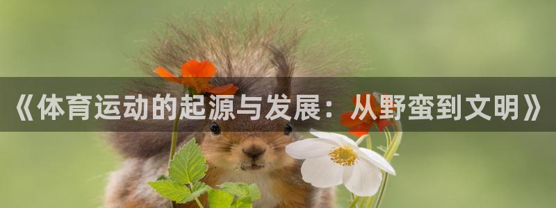 三亿体育登录