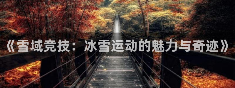 三亿体育