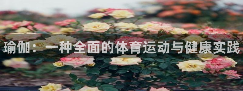 三亿体育登录