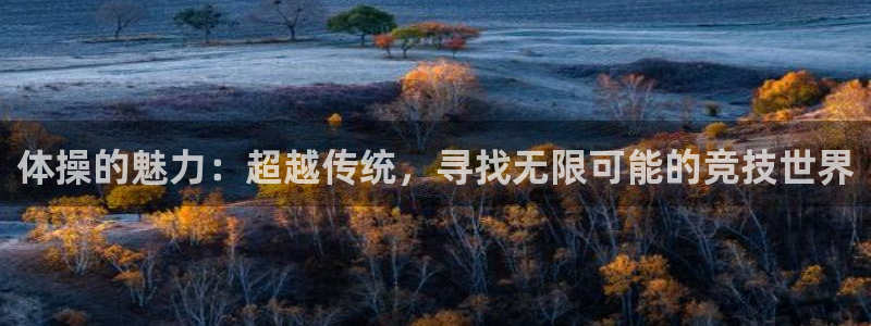 三亿体育