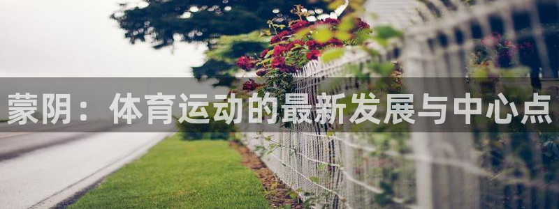 三亿体育