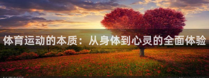 三亿体育登录