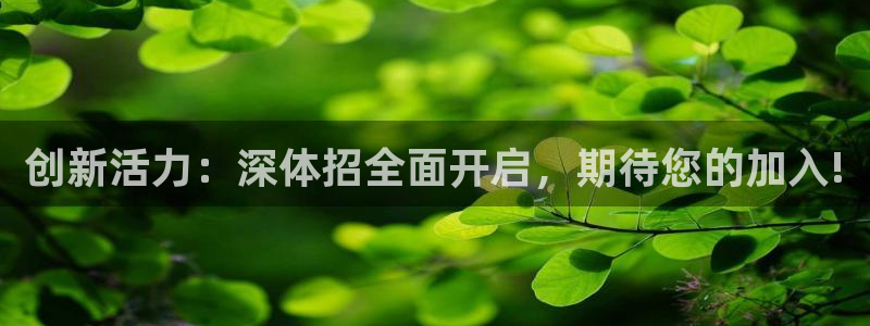 三亿体育登录