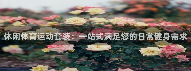 三亿体育登录