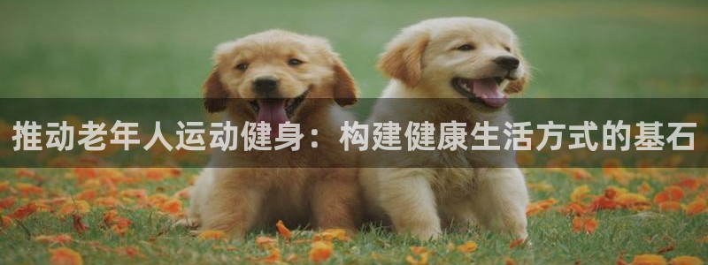 三亿体育登录