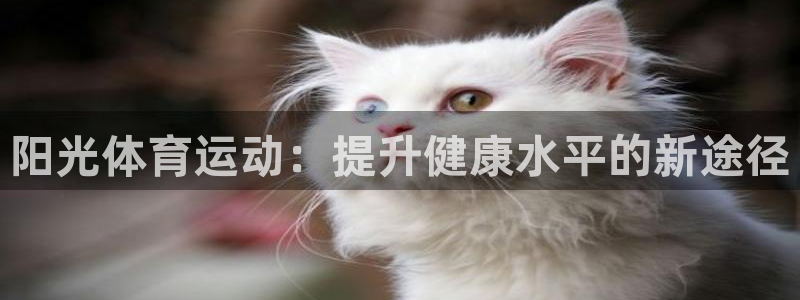 三亿体育登录
